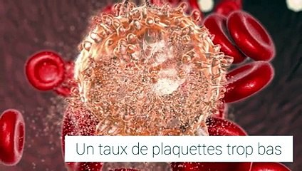 Prise de sang : Comprendre les plaquettes