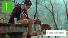 Piqûres de tiques: quels sont les symptômes de la maladie de Lyme?