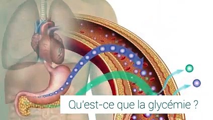 Prise de sang : Comprendre la Glycémie