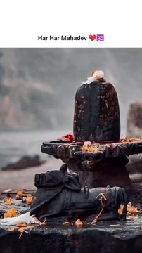 Maha Shivaratri ♾️🤌🕉️ #shivshakti #shivratri #shiv #shivratri2025 #shivshankar #mahashivratri #mahakal #mahakumbh #mahadev #mahakumbh2025prayagraj #mahakumbh2025 #bhole #bholenath #bholebaba #bholebabastatusToday #bholenathॐ #bholenathbhakts #mahadevst