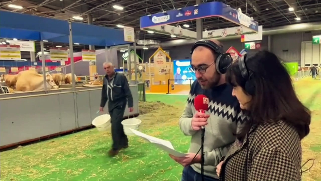 Le défi des "vaches bas carbone" : que vont-elles manger pour moins roter et donc moins polluer ?