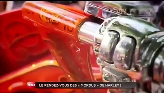 Insolite : des Harley Davidson sur la Côte d'Azur (Emission Turbo du 07/06/2015)