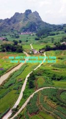 #riseagain #nevergiveup #unbreakable #staystrong #keepgoing #resiliencia #comebackstronger #viralsong #trendingnow #poprnb #feelthemusic #musicmotivation #anthemofstrength