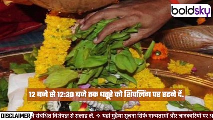 Mahashivratri Dhatura Ka Upay 2025: महाशिवरात्रि पर धतूरा का उपाय| Upay For Love Marriage & Money