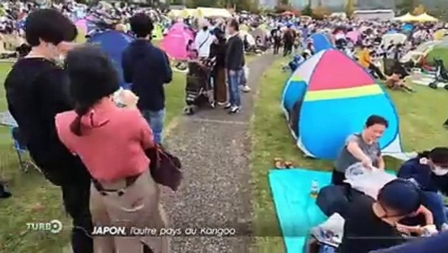 Japon, l'autre pays du Renault Kangoo - Reportage TURBO du 22/01/2023