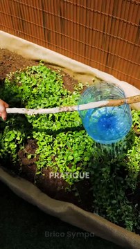 Cultivez le jardin de vos rêves grâce à ces conseils d'experts !