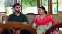 Shehzadi House Episode 38 [ENG CC] Nawal Saeed - Omer Shahzad - 20th November 2024 - Green TV