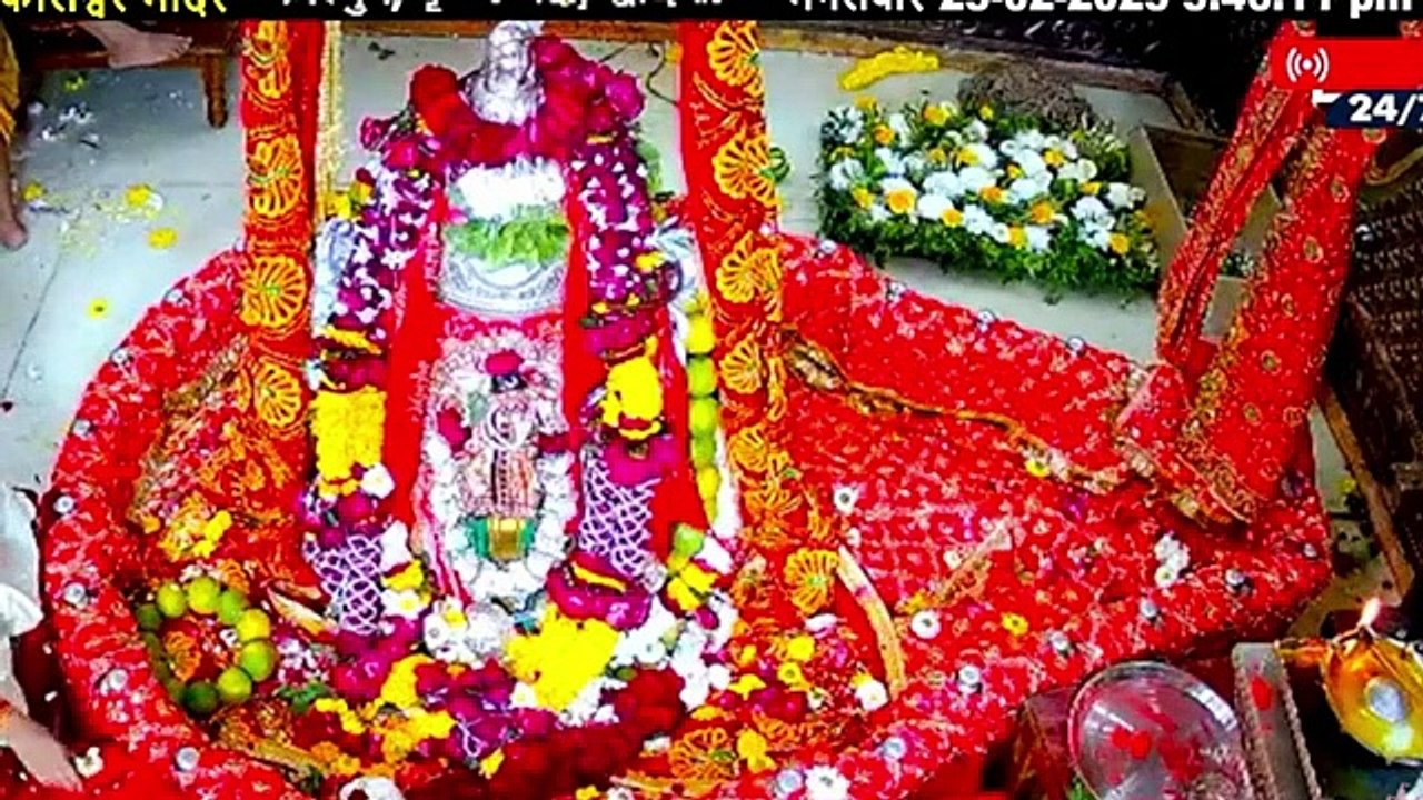 Ujjain Mahakal Mahashivrati Live darshan #mahashivratri2025 #ujjainmahakaldarshan #shivparvati
