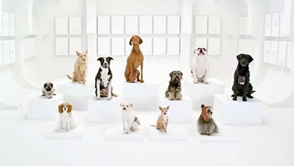 Insolite : la Marche Impériale de Volkswagen décidément très canine !