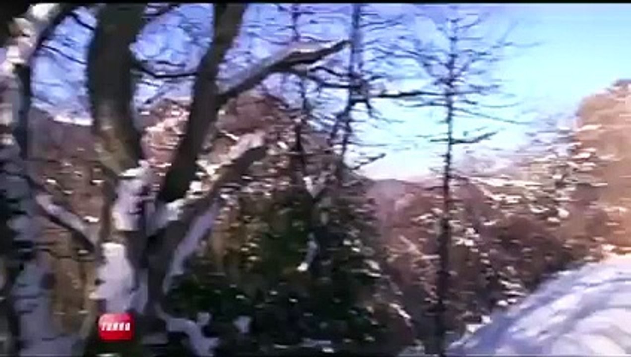 Essai : Mini Paceman / BMW M135i