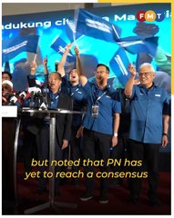 Name your PM candidate, PKR man challenges PN