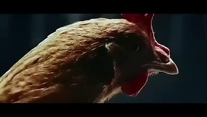 Mercedes : le Magic Body Control expliqué avec des poules