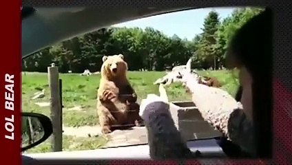 Zapping  : Mission Impossible 5 avec BMW !