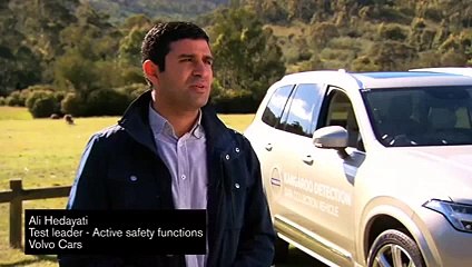 Volvo teste un système de détection des kangourous