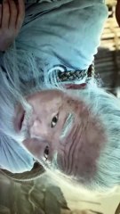 Allez voir Creation Of The Gods