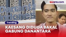 Kaesang Diduga Bakal Gabung Danantara, Publik Nyinyir: Ngurus Bisnis Pisang Aja Bangkrut