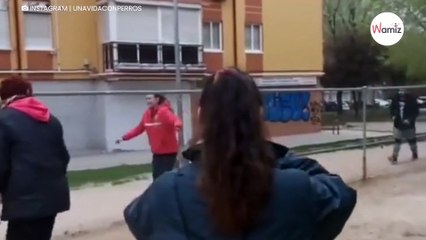 Paar am Boden: Was ihnen widerfahren ist, lässt niemanden kalt (Video)