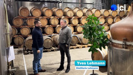 4/5 : la Distillerie Lehmann, pionnier du whiskey en Alsace