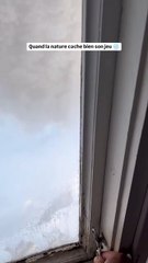 En Norvège, la nature cache bien son jeu 🇳🇴❄️