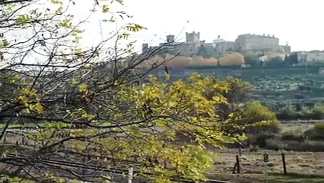 50 ans de la Lamborghini Miura, retour au source