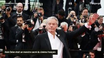 Alain Delon : son fidèle chien Loubo veille encore et toujours sur sa propriété de Douchy depuis sa disparition