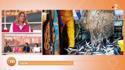 Santé - Tout est bon dans le maquereau