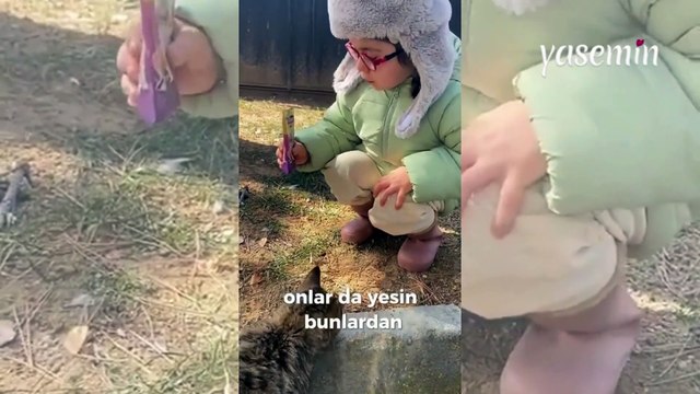 Sokak kedilerini besleyen güzel kalpli kız görenlerin içini ısıttı!