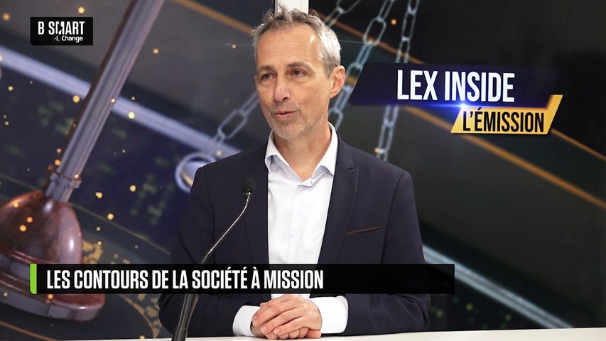Les contours de la société à mission
