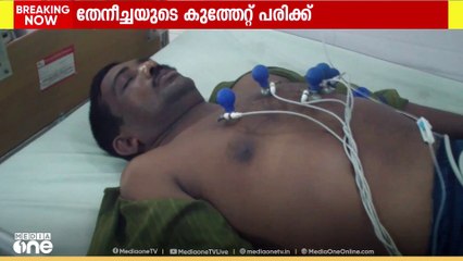 മലപ്പുറം എടക്കരയിൽ തേനീച്ചയുടെ കുത്തേറ്റ് മൂന്ന് തൊഴിലാളികൾക്ക് പരിക്ക്