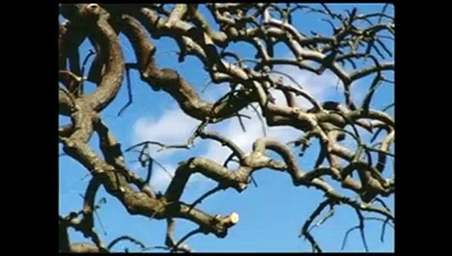 Emission Turbo du 18/05/2002 : ferrari 575 mm, alfa romeo 156 gta, maserati coupe cambiocorsa