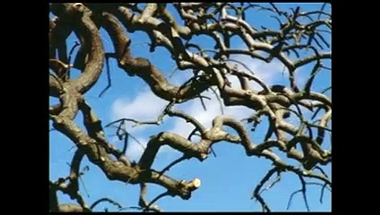 Emission Turbo du 18/05/2002 : ferrari 575 mm, alfa romeo 156 gta, maserati coupe cambiocorsa