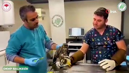 Balıkesir’de Yaban Hayatı İçin Kritik Müdahale!