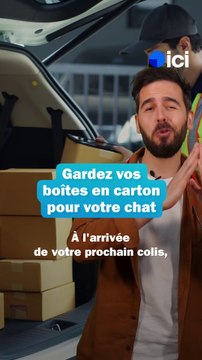 Chats : gardez vos boîtes en carton