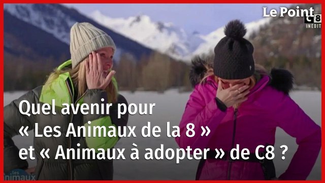 Quel avenir pour « Les Animaux de la 8 » et « Animaux à adopter » de C8 ?