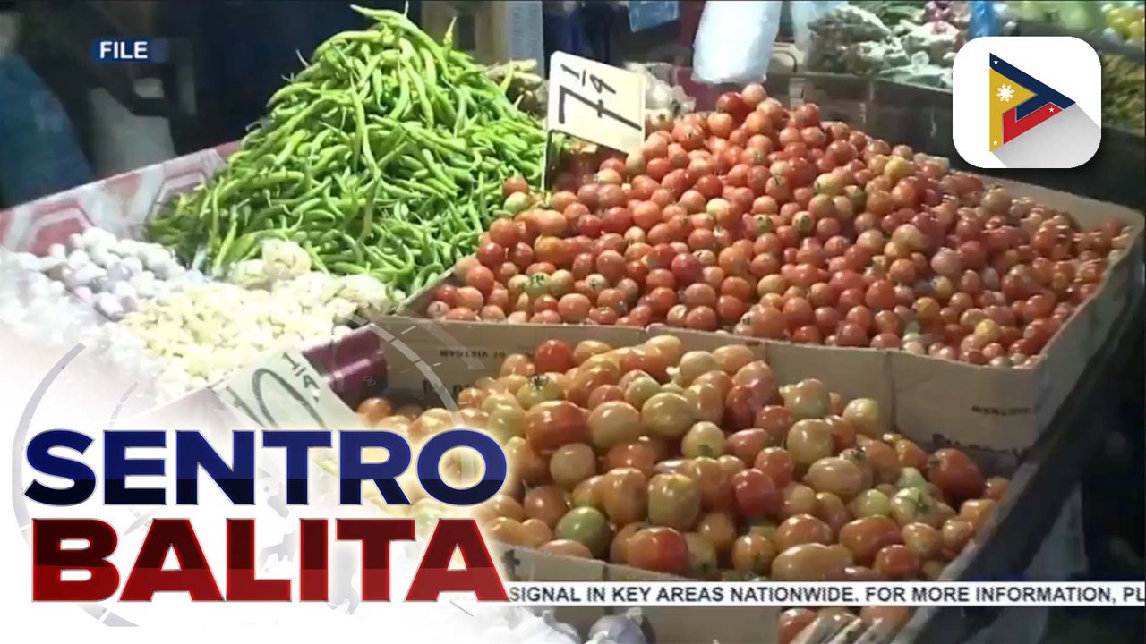 Mga magsasaka ng kamatis, hinimok na makipag-ugnayan sa DA o municipal agriculturists para sa mabilis na pagbebenta ng kanilang ani