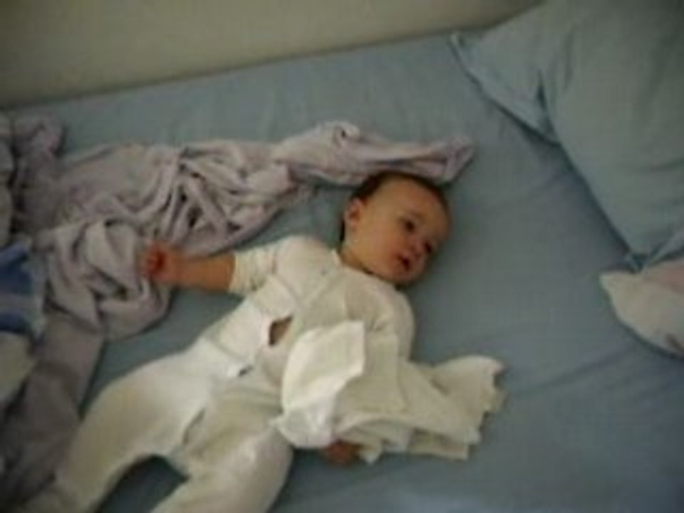 4 pattes encore une tentative