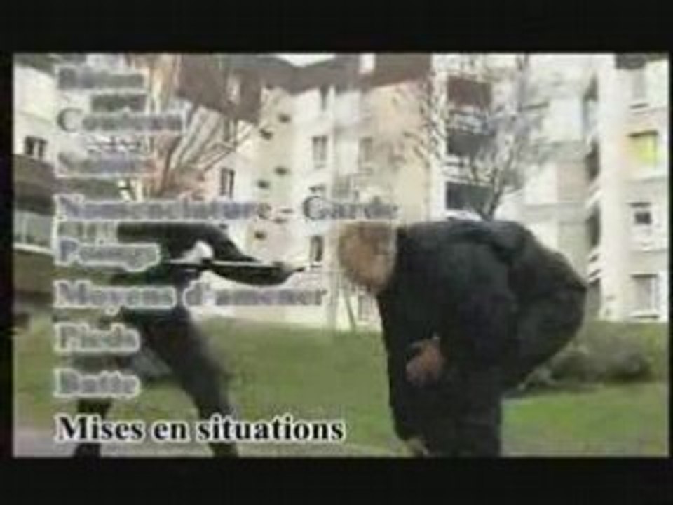 tonfa police