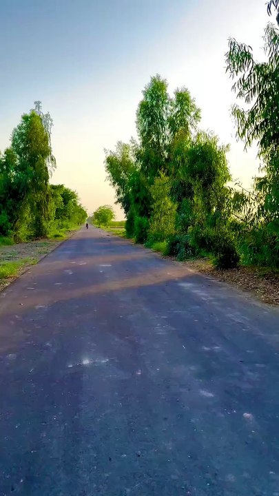 Village Life & Village Nature | Beautiful Rural Scenes of My Village Side | max RECORDS