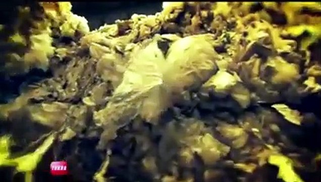 Conso : du Diesel fabriqué à partir de déchets en plastique ! (Emission Turbo du 06/05/2012)