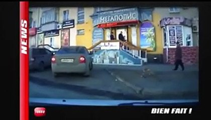 Les insolites de la semaine (Emission Turbo du 06/04/2014)