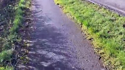 cycle route Daniel Mumby video