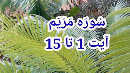 Surah Maryam | Tilawat e quran | best qirat recitation | beautiful voice | learn quran |
