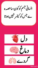 How to get Islamic quick