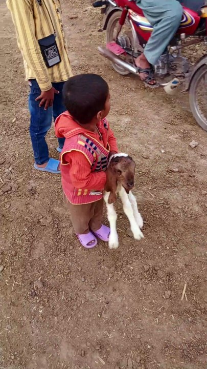 Village life