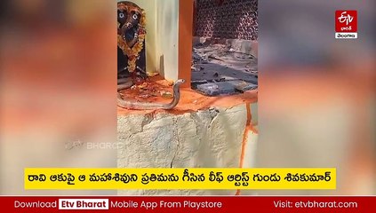 మహాశివరాత్రి రోజున అరుదైన ఘటన - గుడిలో నాగుపాము ప్రత్యక్షం