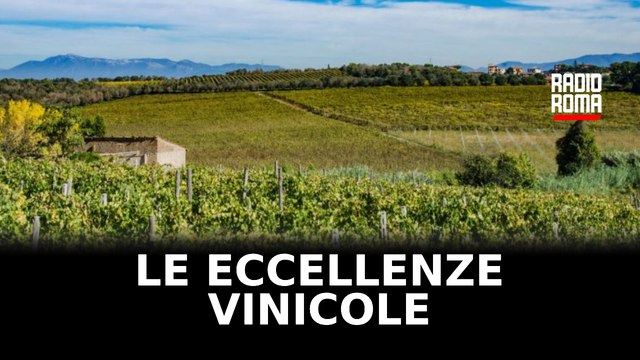 Tutto pronto per Esperienze di Vitae del Centro Italia : l'evento che celebra le eccellenze italiane