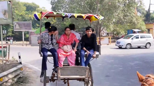 Tanga Ride in Rajgir, Bihar