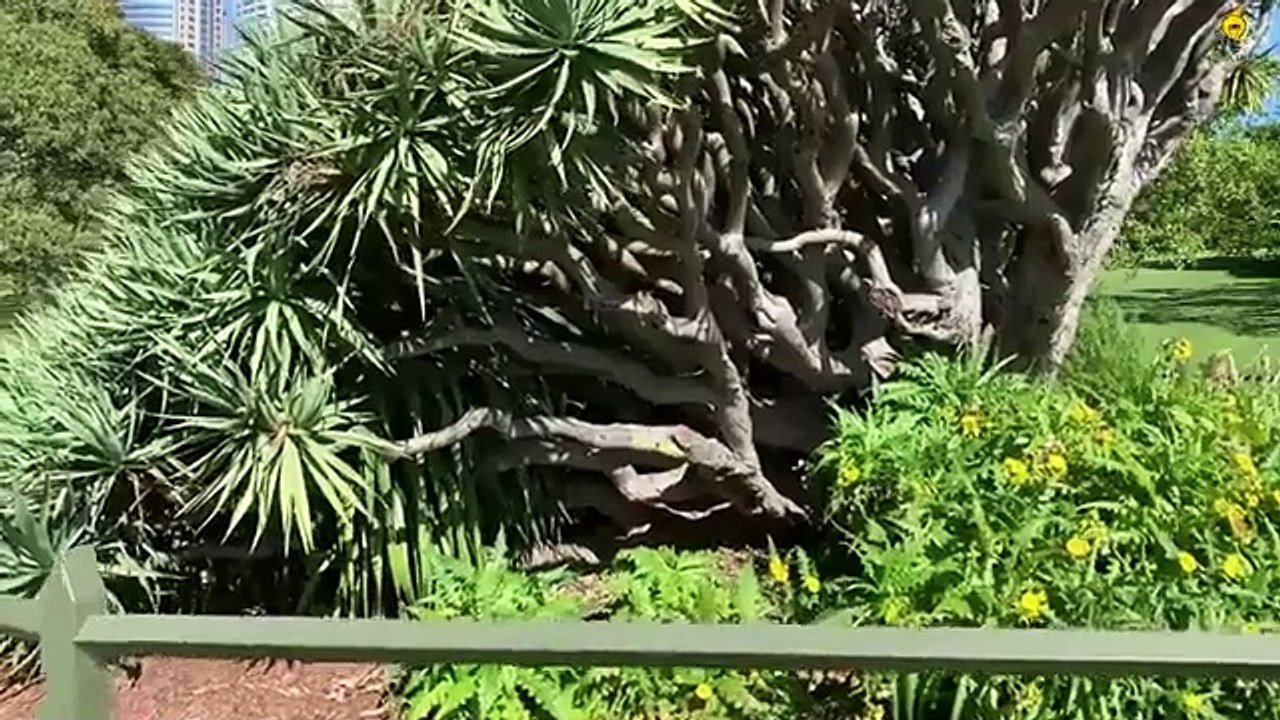 পৃথিবীর সবচেয়ে রহস্যময় ও অদ্ভুত  জায়গা