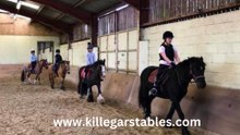 Killegar Stables