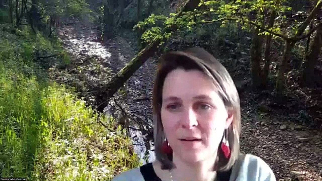 Animation du réseau néo-aquitain des EPCI inscrits dans le programme « Territoire Engagé Transition Écologique, volet ECI.   Webinaire du 23/03/2023 : « La mobilisation des acteurs  économiques »  Partie 2